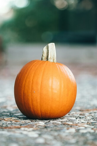 A pumpkin
